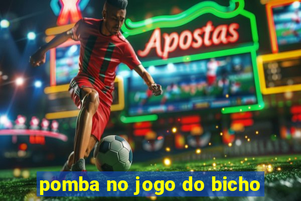 pomba no jogo do bicho